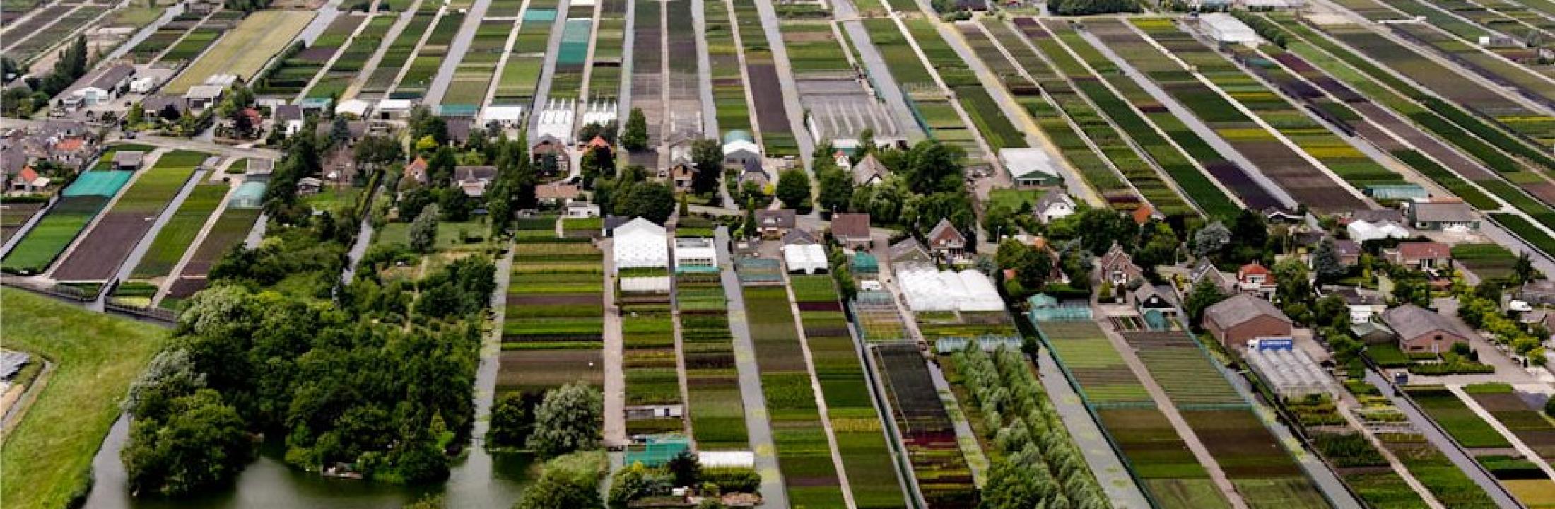 Photo of Boskoop -the world famous centre for outdoor plants - by Ron Le Poole